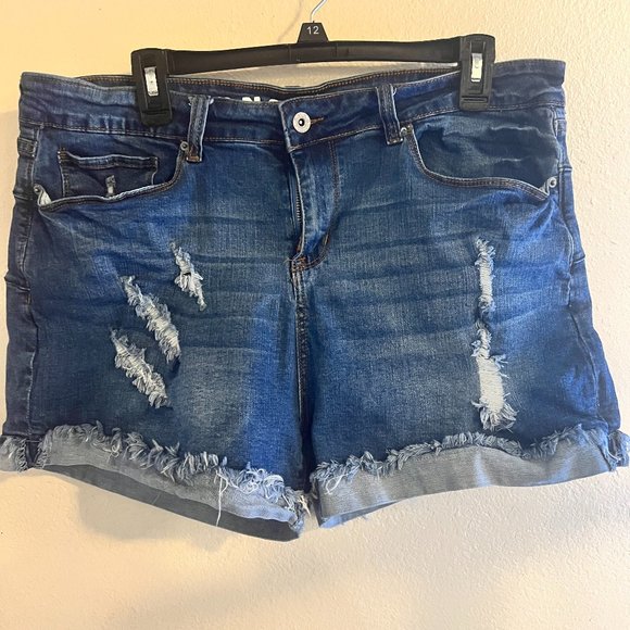 S.O.N.G Pants - Women's S.O.N.G Distressed Denim Curvy High Rise Shorts Size 17/33
